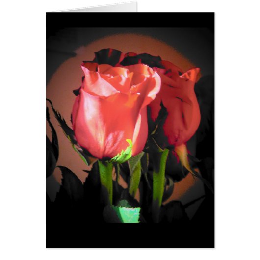 Red Rose Black Back Ground Your Text Cards (Front)