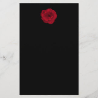 Red Rose. Black Background. Flyer