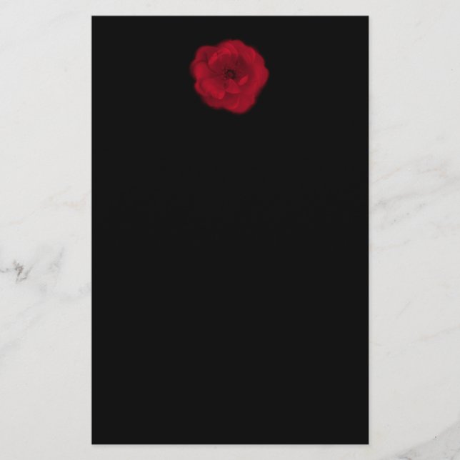 Red Rose. Black Background. Flyer (Front)