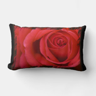 Red Rose Black Border Lumbar Pillow
