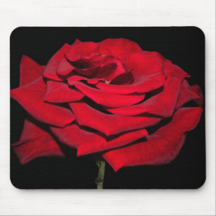 Red Rose - Black Mouse Pad