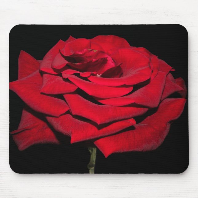 Red Rose - Black Mouse Pad (Front)