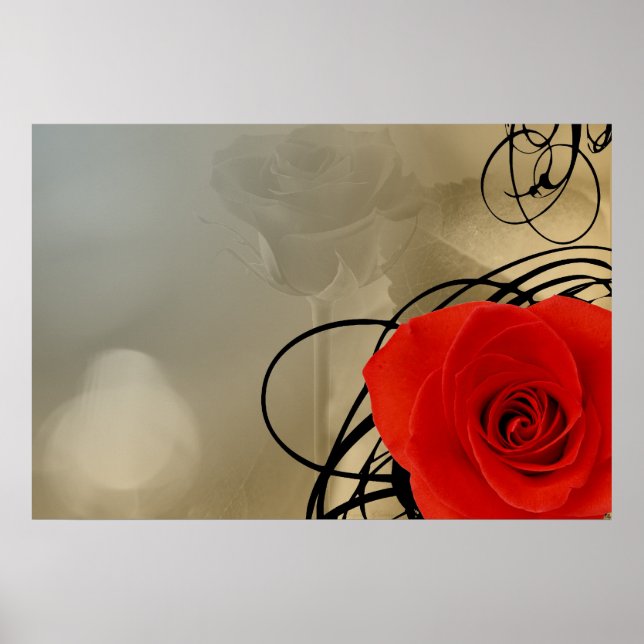 Red Rose Blank Poster (Front)
