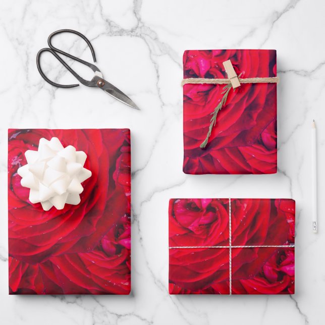Red rose blossoms with dewdrops - photography wrapping paper sheets (Front)