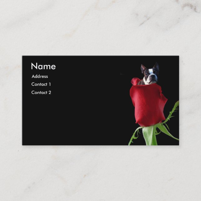 Red Rose Boston Terrier business cards (Front)