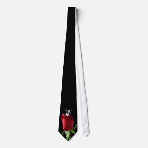 Red rose Boston Terrier tie