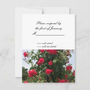 Red Rose Bouquet RSVP Reply Card
