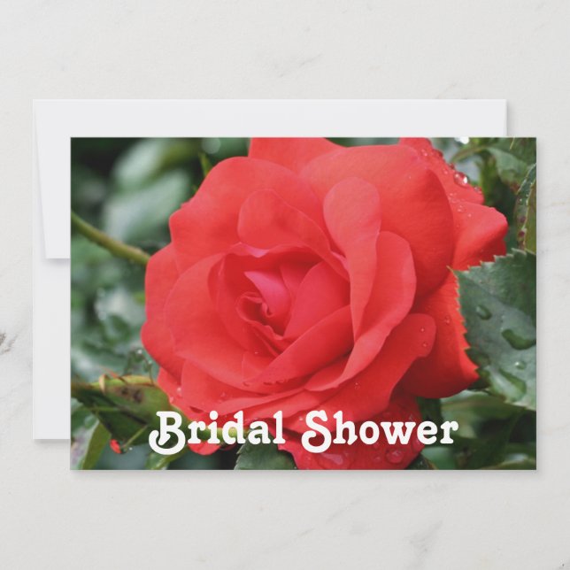 Red Rose Bridal Wedding Shower  Invitation (Front)