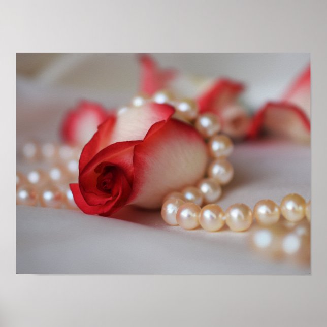 Red Rose Bud and Pearls Poster (Front)