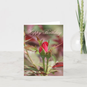 Red Rose Bud Happy Birthday Card