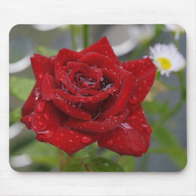 Red Rose Bud Mouse Pad (Front)