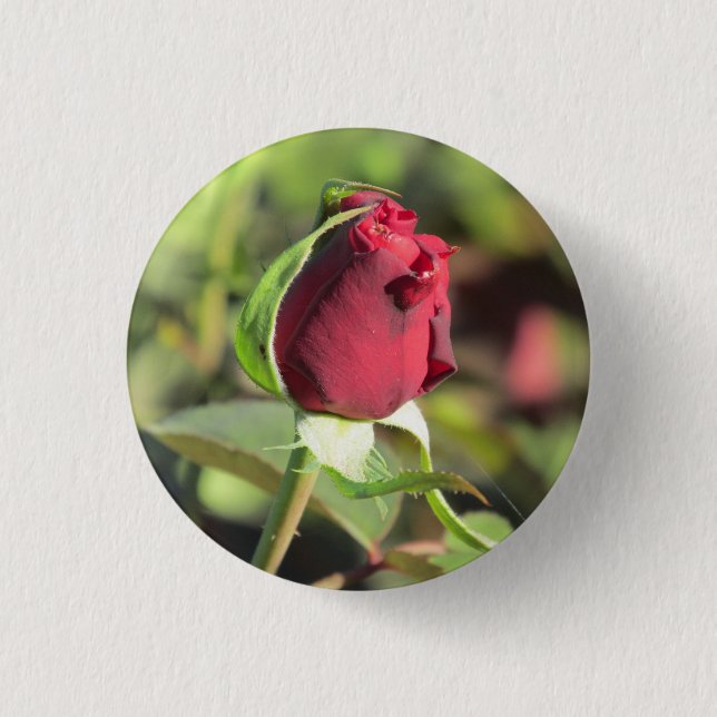 Red Rose Bud Pinback Button (Front)