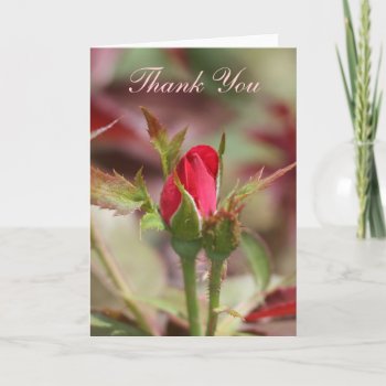 Red Rose Buds You Thank Thank You Card by RossiCards at Zazzle