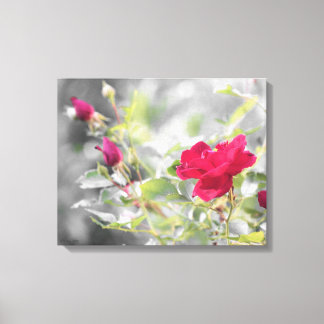 Red Rose Bush Stretched Canvas Print