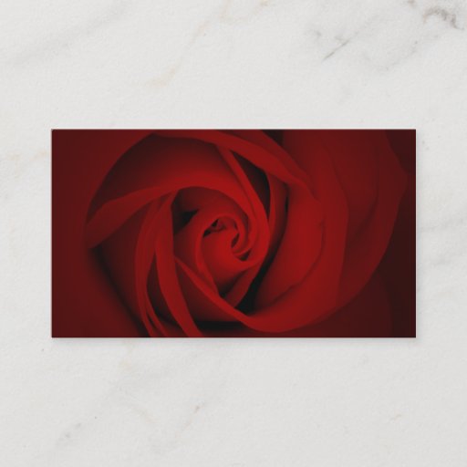 Customizable red rose business cards