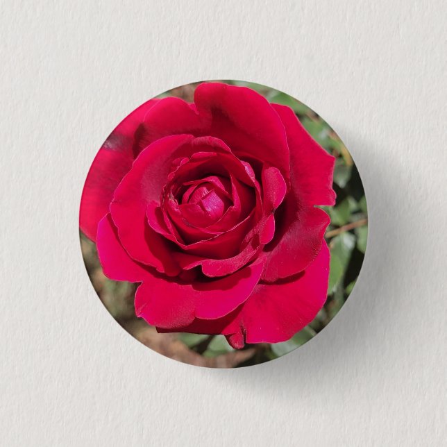 Red Rose Button (Front)