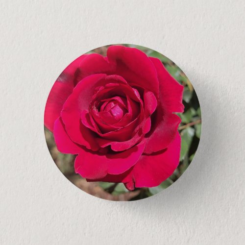 Red Rose Button