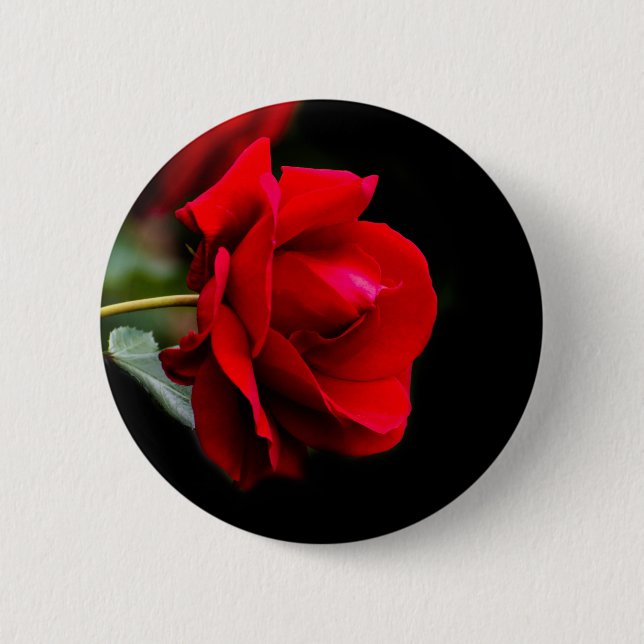 Red rose button (Front)