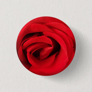 Red Rose Button