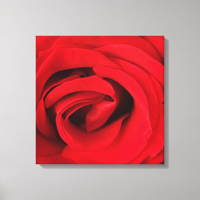 Red Rose Canvas Print (Front)