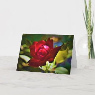 Red Rose, card