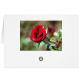Red Rose Card (Back Horizontal)