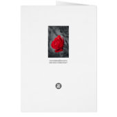 Red Rose Card (Back)