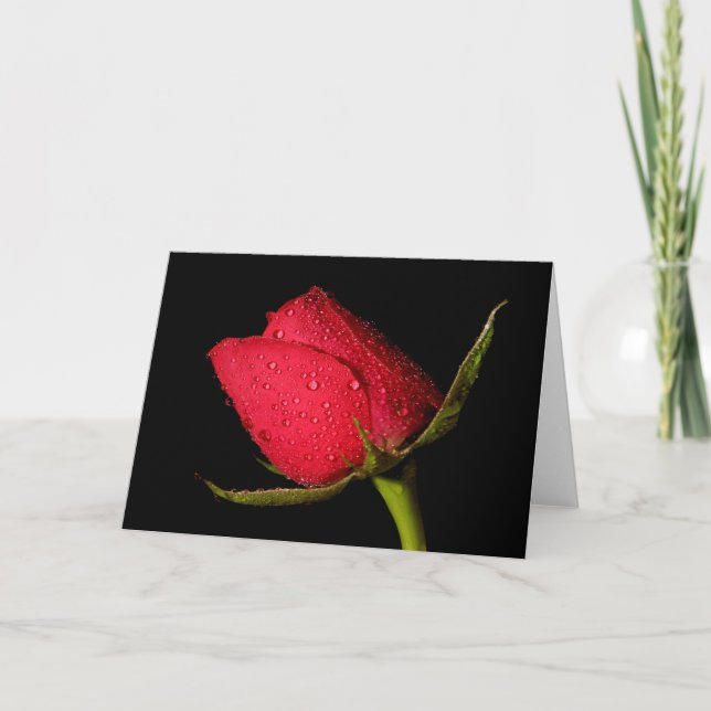 Red Rose Card (Front)
