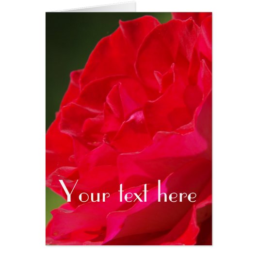 Red Rose - Card (Front)