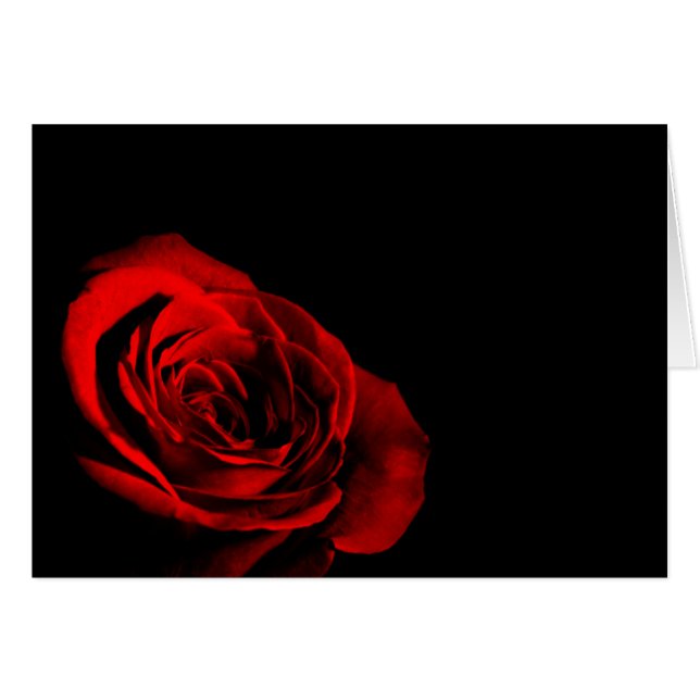Red Rose Cards (Front Horizontal)