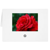 Red Rose Cards (Back Horizontal)