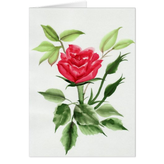 Red Rose Cards (Front)