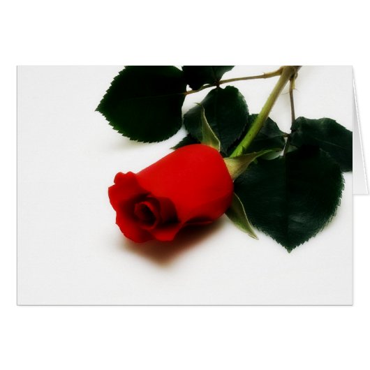 Red Rose Cards (Front Horizontal)