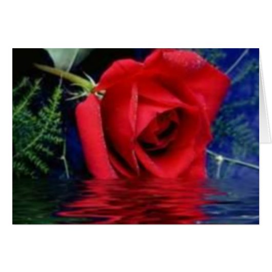 Red Rose Cards (Front Horizontal)