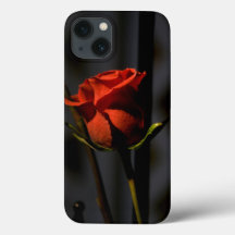 Red Rose