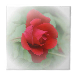 Red rose ceramic tile