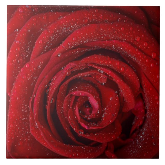 Red Rose Ceramic Tile (Front)