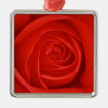 Red  Rose Christmas Ornament by ggbythebay at Zazzle