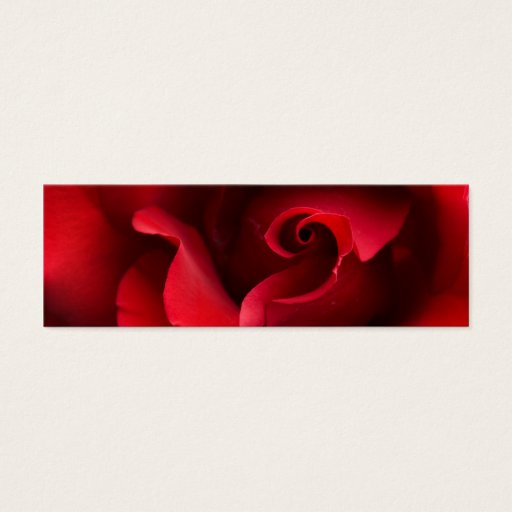 Customizable Red Rose Close-up - Customized Business Cards