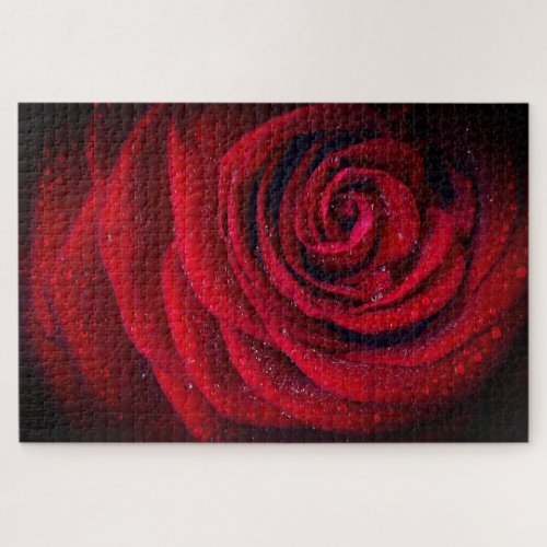 Red Rose Close_up Photo Jigsaw Puzzle