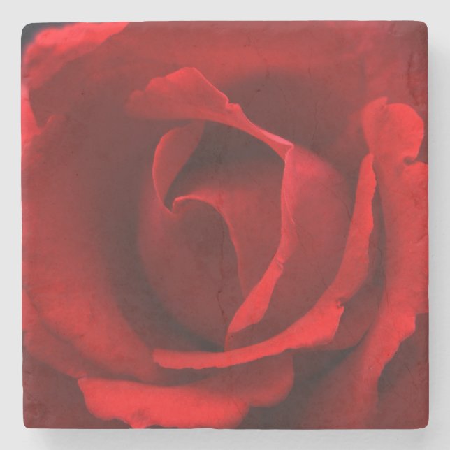 Red Rose coastera Stone Coaster (Front)