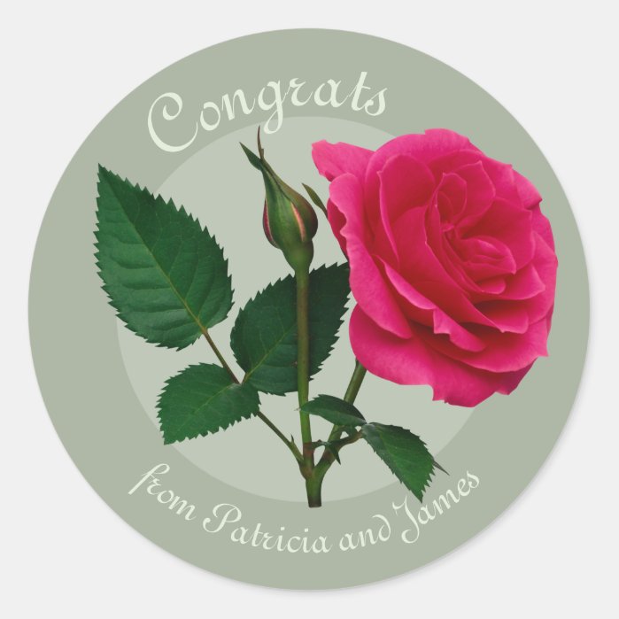 Red rose Congrats Exams Celebrations CC0883 Classic Round Sticker