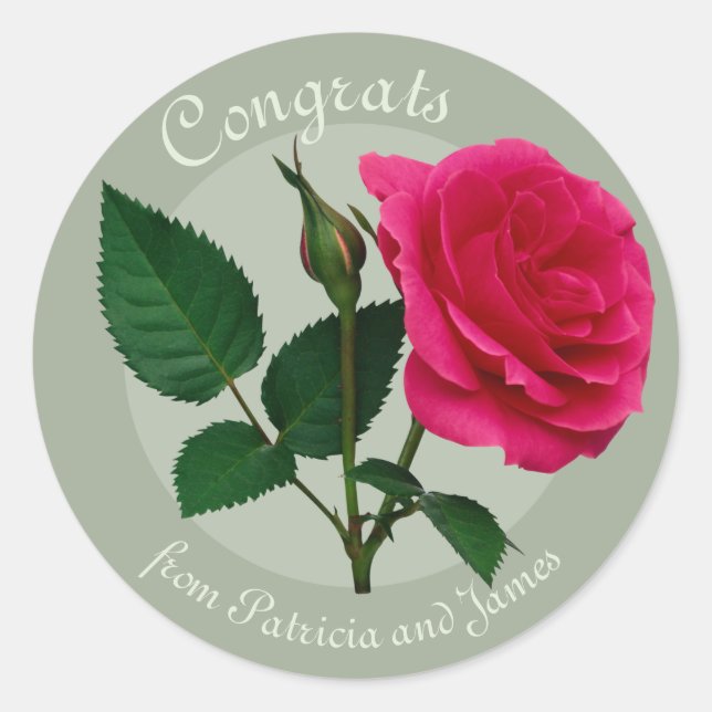 Red rose Congrats Exams Celebrations CC0883 Classic Round Sticker (Front)