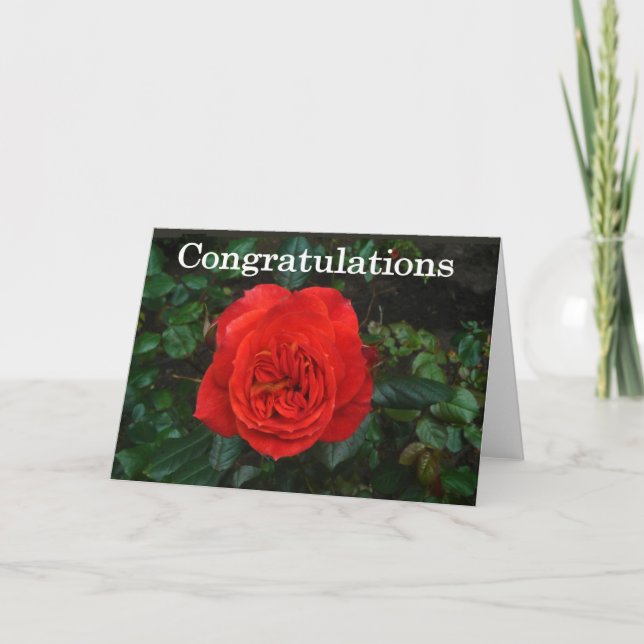 Red Rose Congratulations Card (Front)