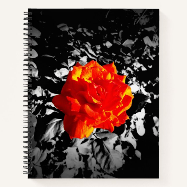 Red rose Custom 8.5" x 11" Spiral Notebook (Front)