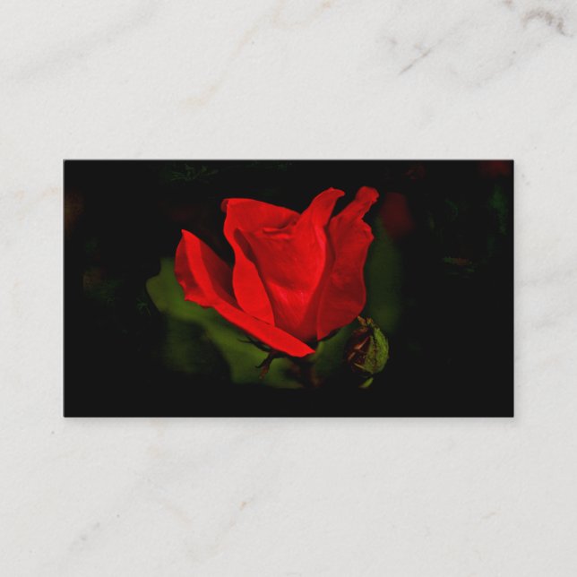Red Rose - Dark Passion Business Card (Front)