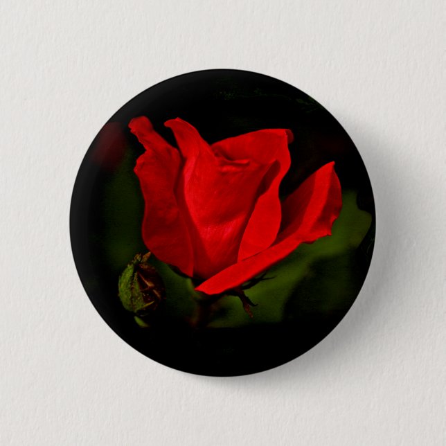 Red Rose - Dark Passion Pinback Button (Front)
