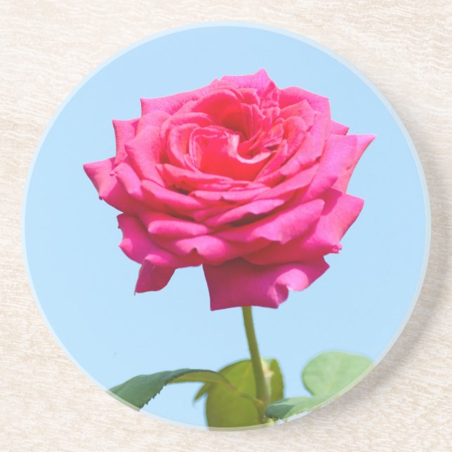 Red rose drink coaster (Front)
