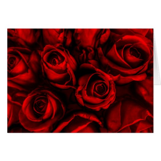 Red Rose Elegance Cards (Front Horizontal)