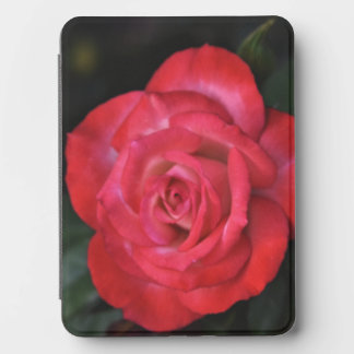 Red Rose — Elegant Botanical Kindle Case